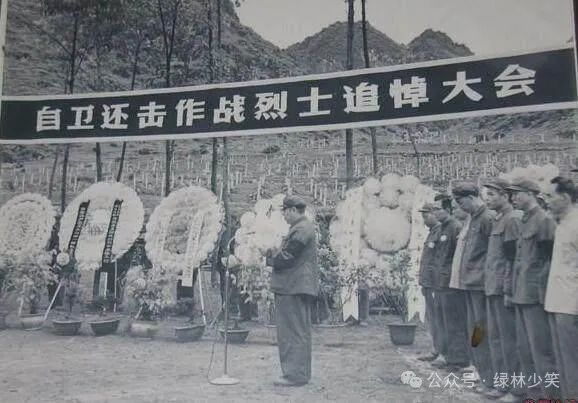 对越还击战意义我见