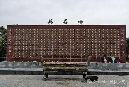 烈士忠骸 都应还家